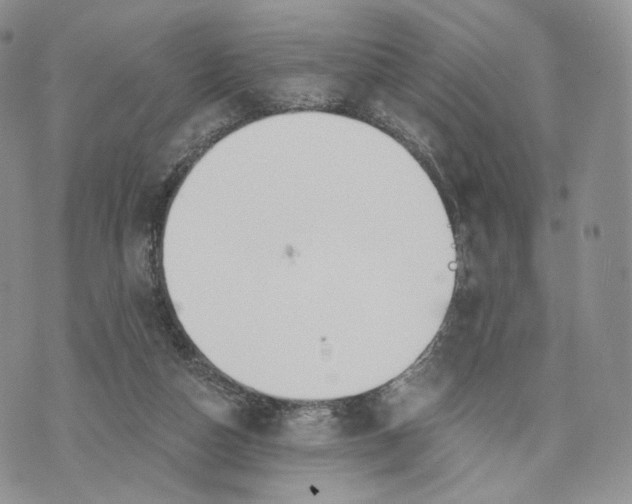 X0000072950162200608111635