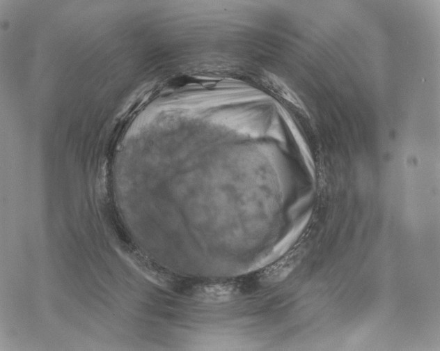 X0000072950163200608111635