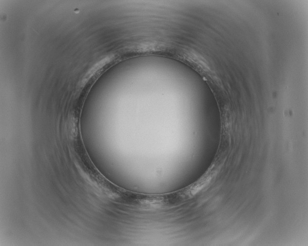 X0000072950164200608111635