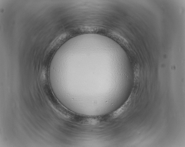 X0000072950166200608111635