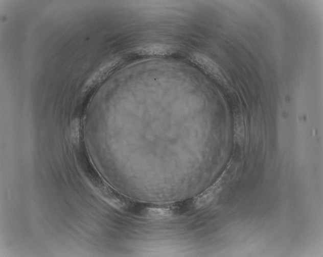 X0000072950167200608111635