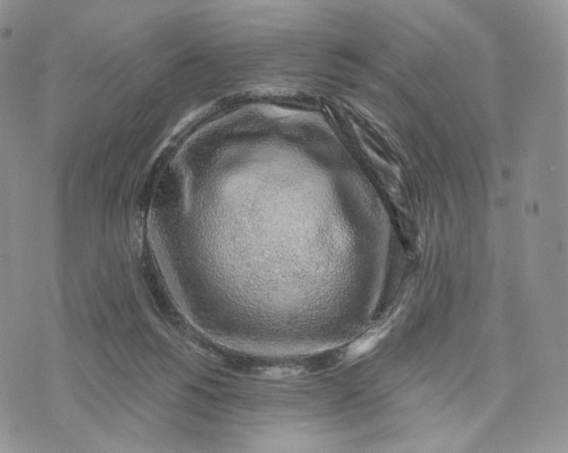 X0000072950168200608111635