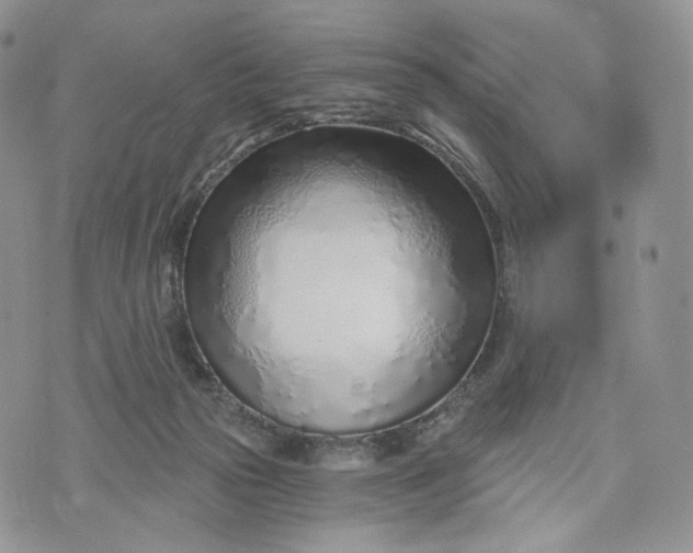 X0000072950169200608111635