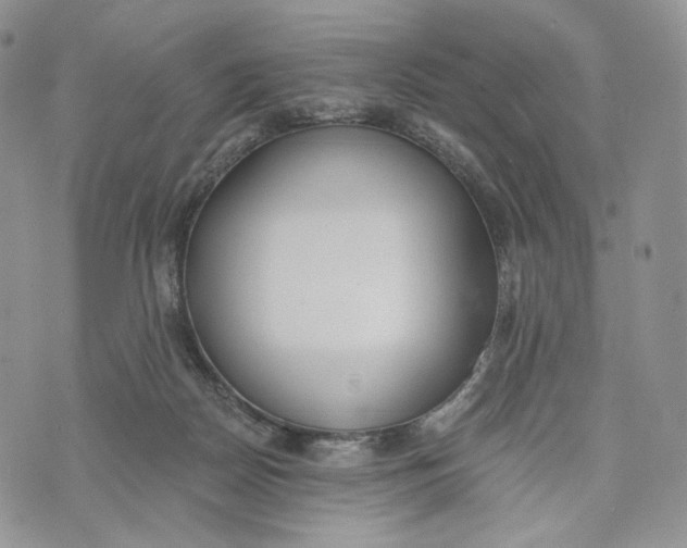 X0000072950170200608111635