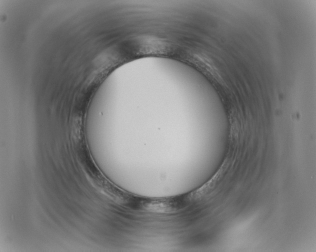 X0000072950171200608111635