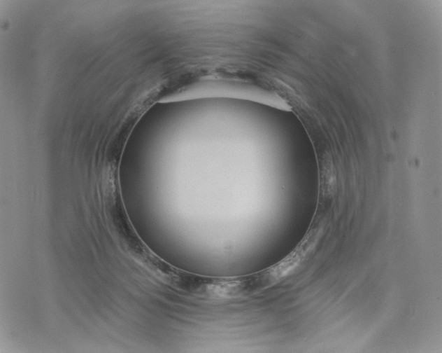 X0000072950172200608111635