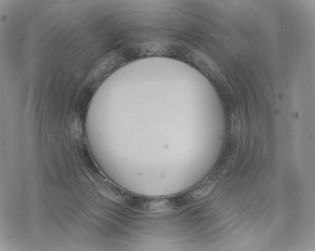 X0000072950173200608111635