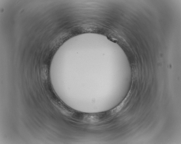 X0000072950174200608111635