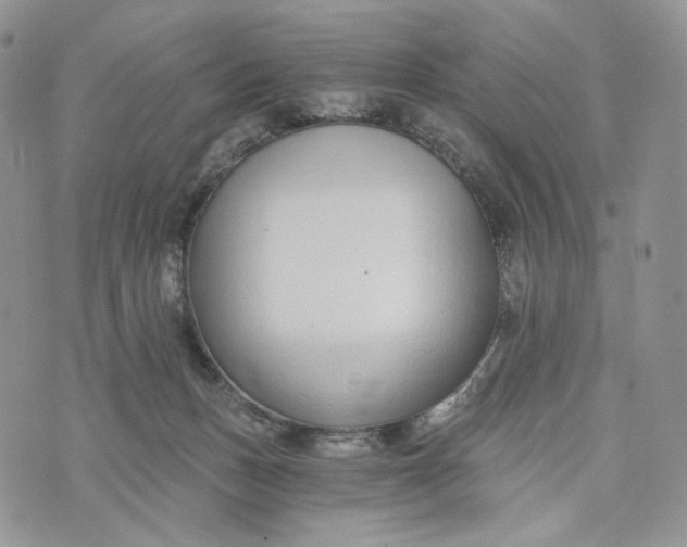 X0000072950175200608111635