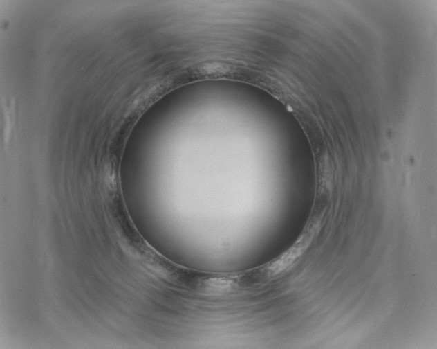 X0000072950176200608111635