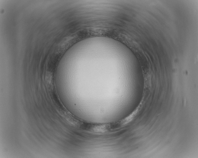 X0000072950178200608111635