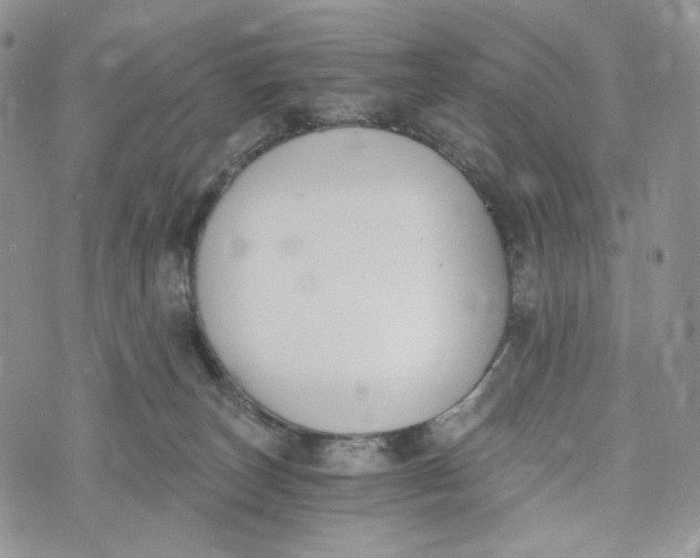 X0000072950179200608111635