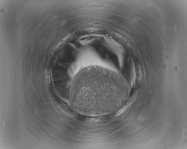 X0000072950180200608111635