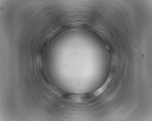 X0000072950182200608111635