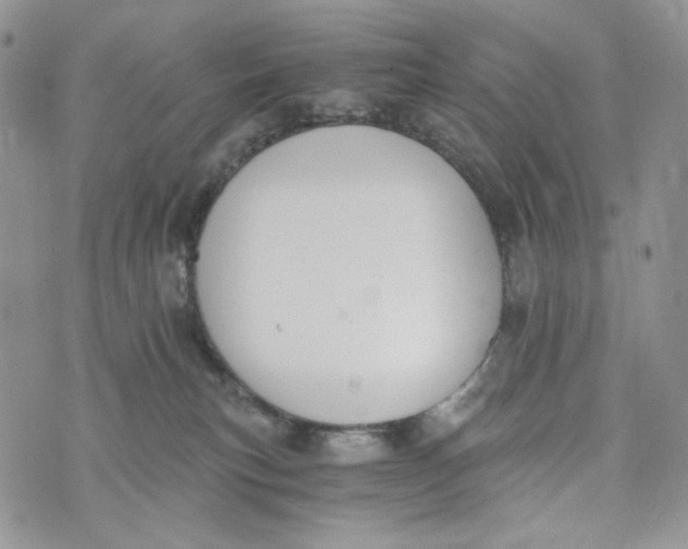 X0000072950183200608111635