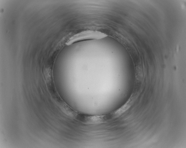 X0000072950184200608111635