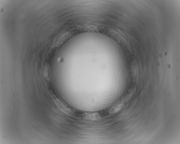 X0000072950185200608111635