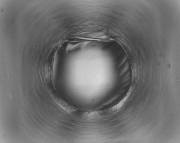 X0000072950186200608111635