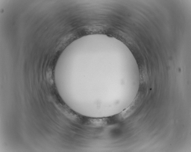 X0000072950187200608111635