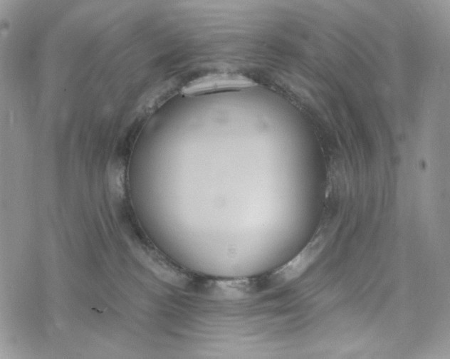 X0000072950188200608111635