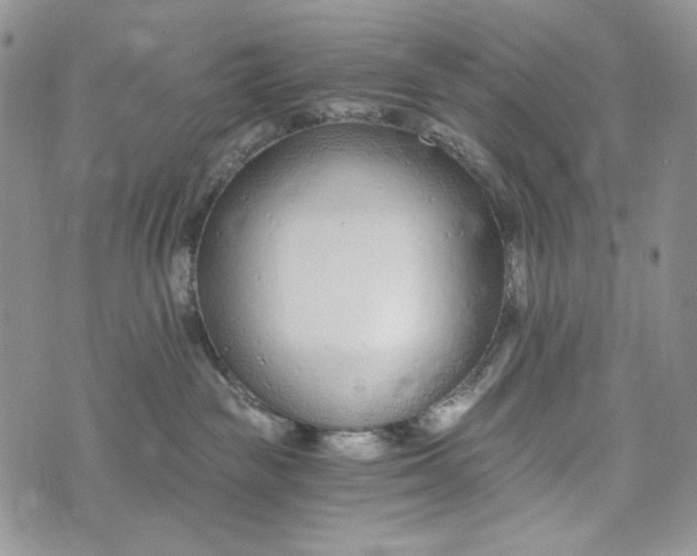 X0000072950189200608111635