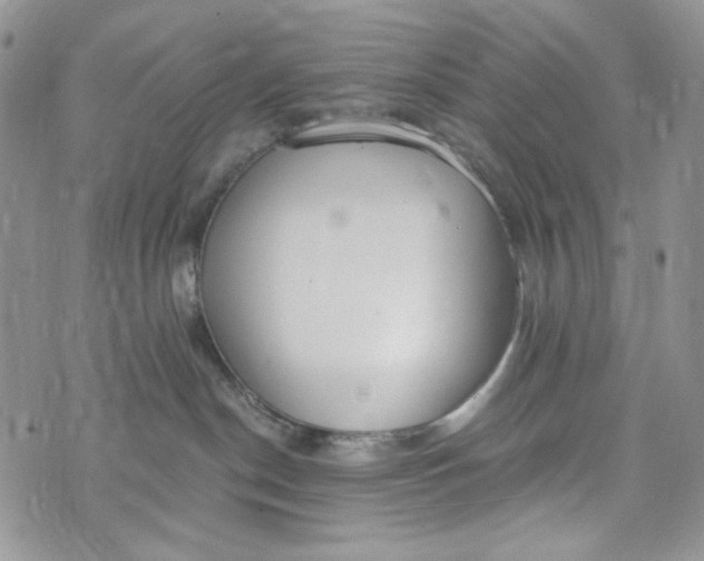 X0000072950190200608111635