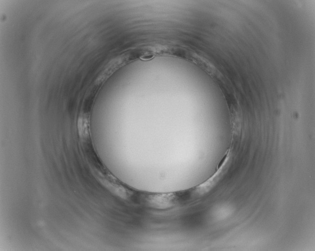 X0000072950191200608111635