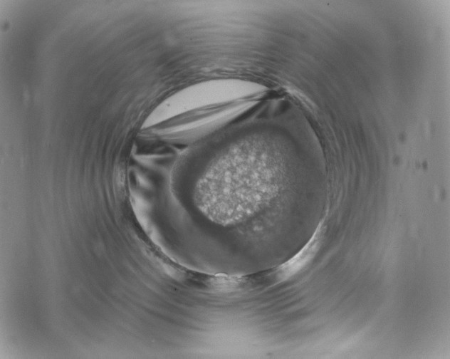 X0000072950192200608111635