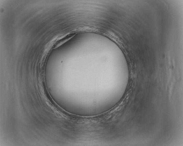 X0000072950193200608111634