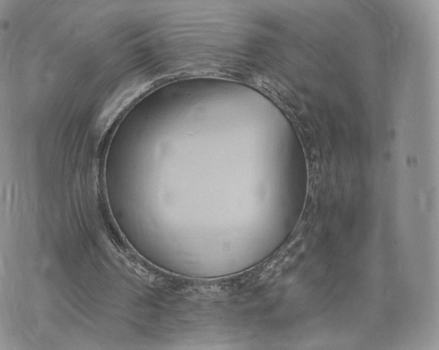 X0000072950194200608111634