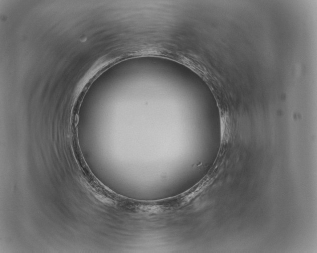 X0000072950195200608111634