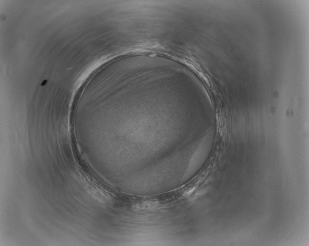 X0000072950196200608111634