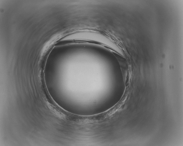 X0000072950197200608111634