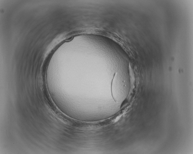 X0000072950198200608111634