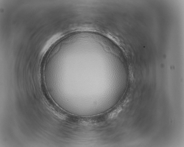 X0000072950199200608111634