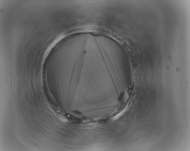 X0000072950200200608111634