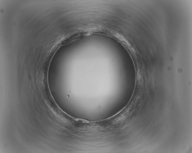 X0000072950201200608111634