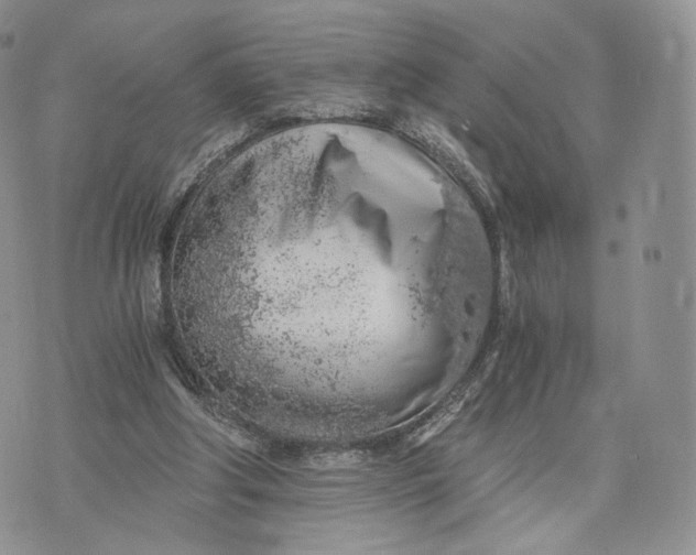 X0000072950202200608111634