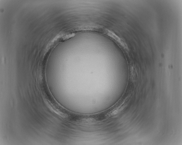 X0000072950203200608111634