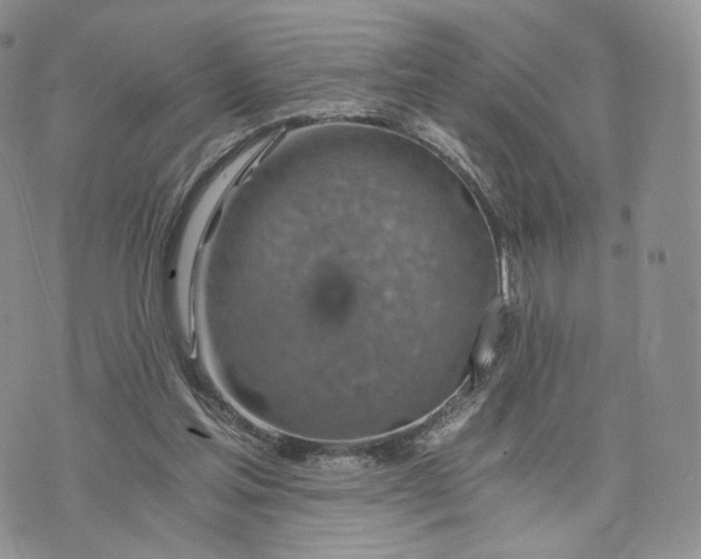 X0000072950205200608111634