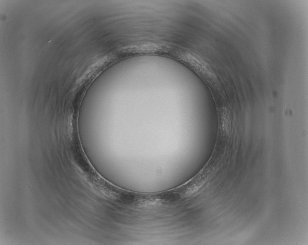 X0000072950206200608111634