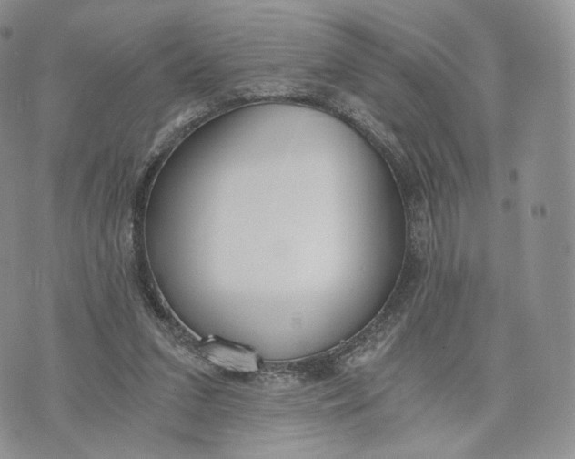 X0000072950207200608111634