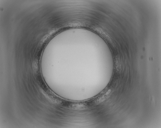 X0000072950208200608111634