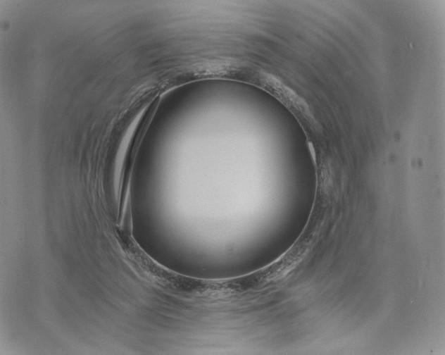 X0000072950209200608111634