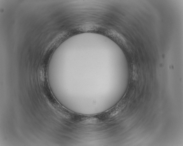 X0000072950210200608111634