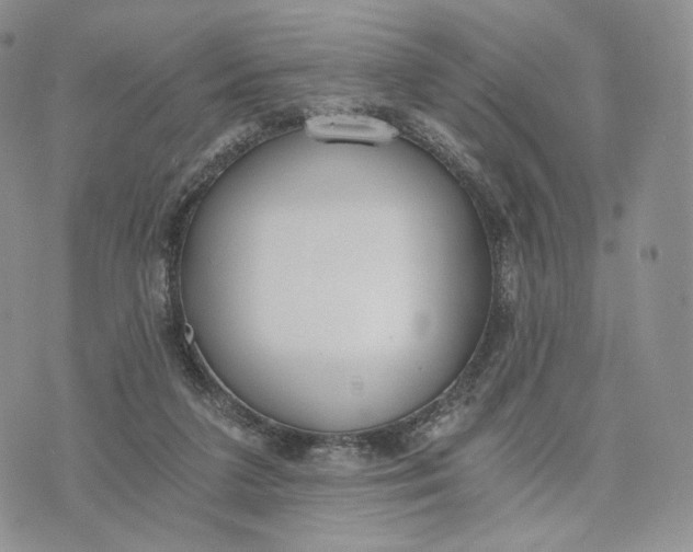 X0000072950211200608111634