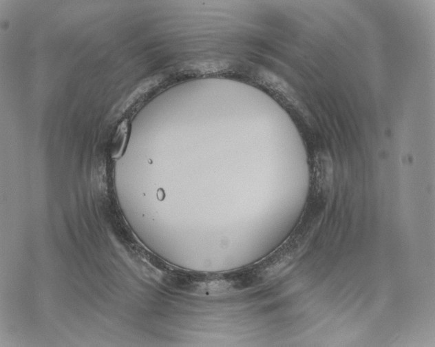 X0000072950212200608111634