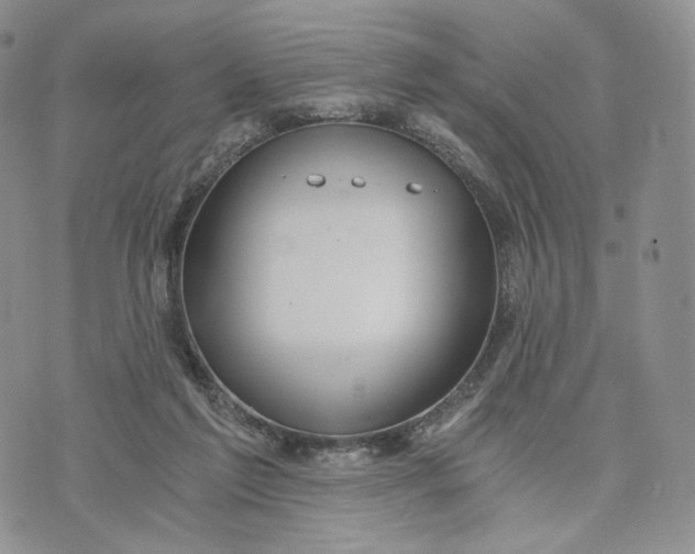 X0000072950213200608111634