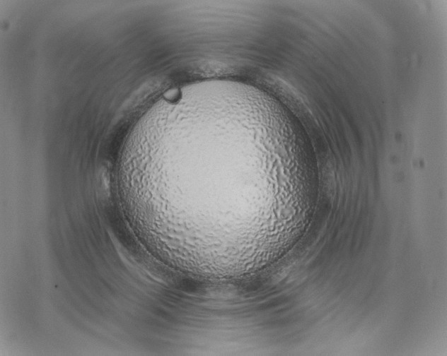 X0000072950214200608111634