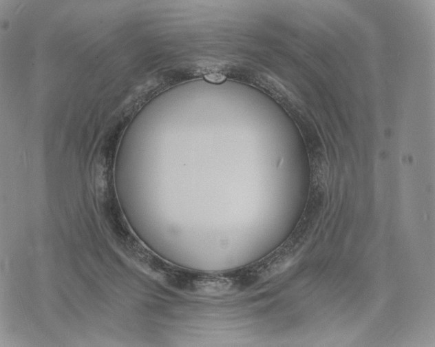 X0000072950215200608111634